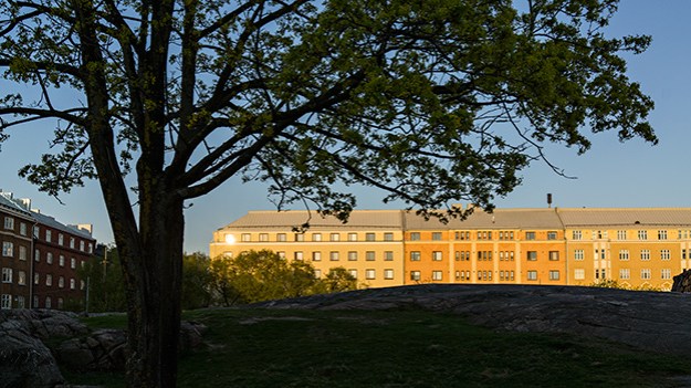 2016-05-09-evening-light-049