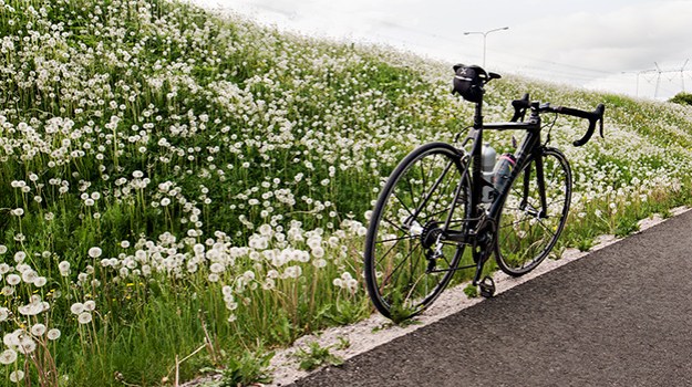 2016-05-29-dandelions-and-bicycle-009