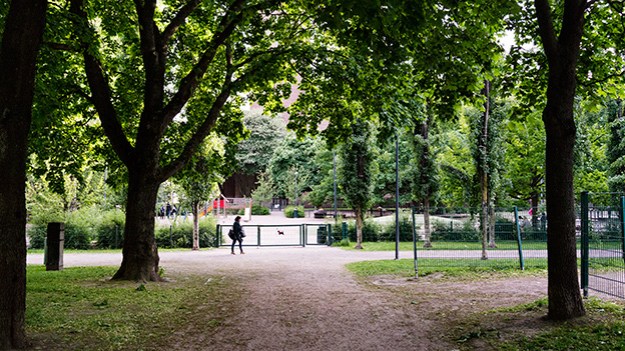 2016-06-06-walking-in-the-park-064