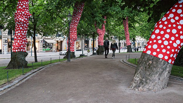 2016-06-13-clothed-trees-043