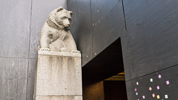 2016-07-27-bear-in-the-corner-066