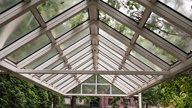 2016-08-04-canopy-part-two-022