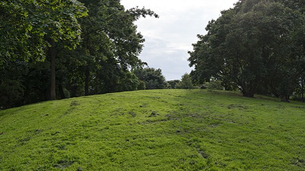 2016-08-25-green-grass-002