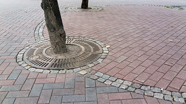 2016-08-27-trees-and-cobblestones-012