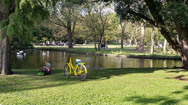 2016-09-09-a-yellow-bike-008