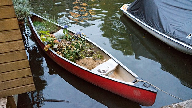 2016-09-19-canoe-as-a-garden-016