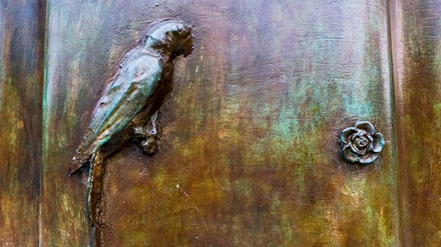 2016-09-26-a-parrot-and-a-rosette-002