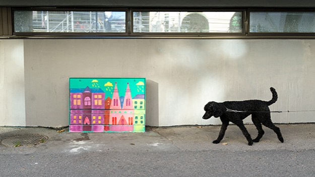 2016-10-05-black-dog-084