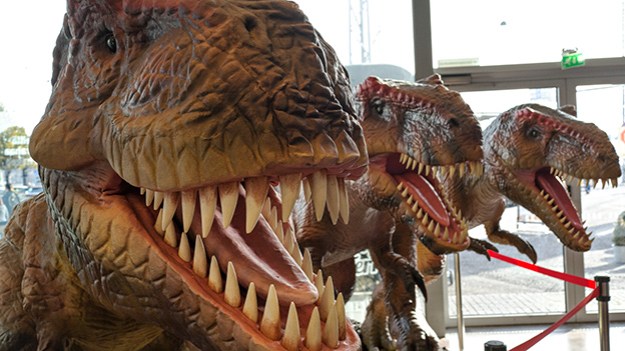 2016-10-06-dinosaurs-016