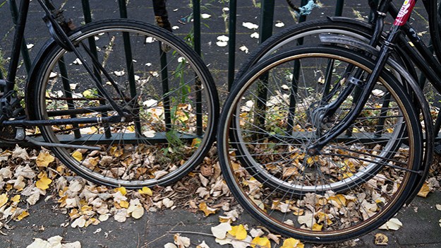 2016-10-11-wheels-008