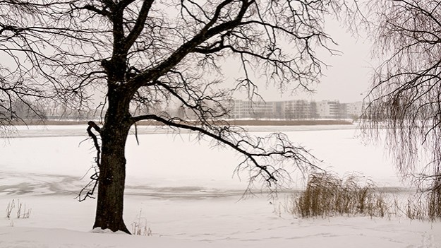 2016-11-10-snowy-toolonlahti-022