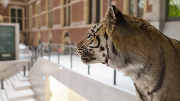 2016-11-13-in-the-museum-hall-047