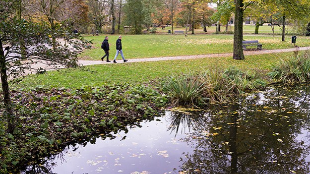 2016-11-16-in-the-park-part-three-052