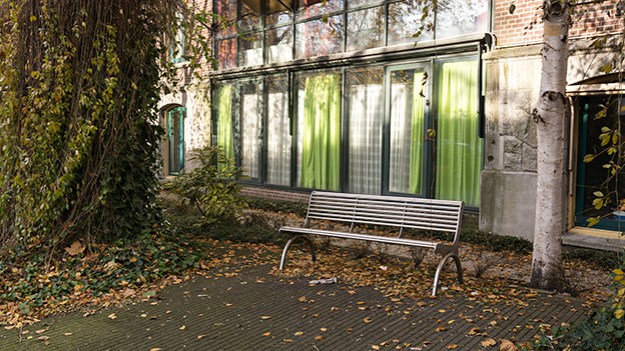 2016-11-26-green-corner-013