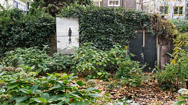 2016-11-27-picture-in-the-garden-026