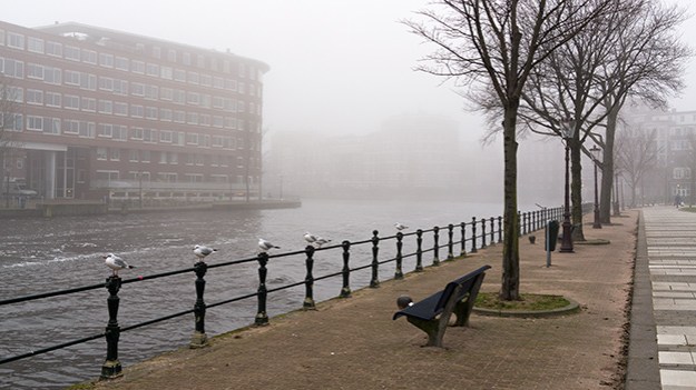 2016-12-20-seagulls-on-the-fence-006