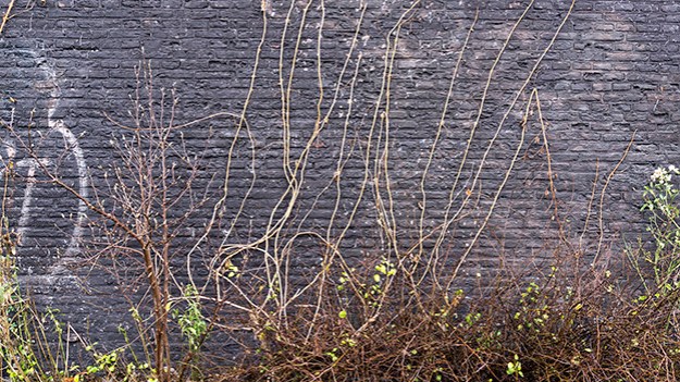 2017-01-07-the-wall-part-four-004