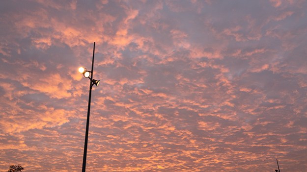 2017-01-18-lamp-post-part-two-063