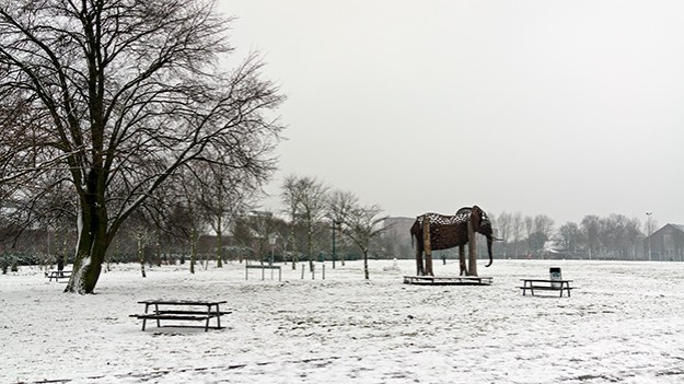 2017-02-11-westerpark-066